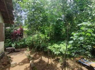 Residential Land for Sale in Pathanamthitta, Thiruvalla, Eraviperoor