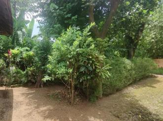 Residential Land for Sale in Pathanamthitta, Thiruvalla, Eraviperoor