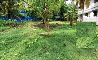 Residential Land for Sale in Ernakulam, Paravur, Kaitharam, kottuvalli