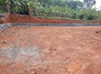 Residential Land for SaleKottayam, Changanassery, Nalukody
