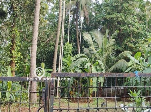 Residential Land for Sale
