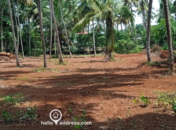 Views of the designated property for sale