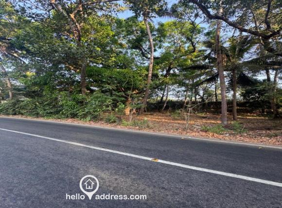 Commercial Land for Sale