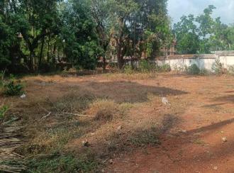 Residential Land for Sale in Thrissur, Thrissur, Cheroor