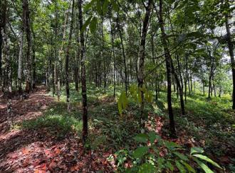 Residential Land for Sale in Pathanamthitta, Adoor, Erathu