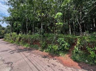 Residential Land for Sale in Pathanamthitta, Adoor, Erathu