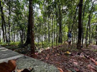 Residential Land for Sale in Pathanamthitta, Adoor, Erathu