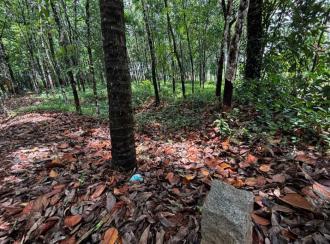 Residential Land for Sale in Pathanamthitta, Adoor, Erathu