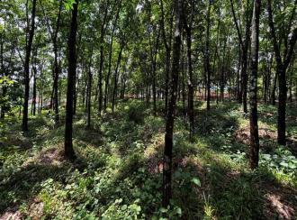 Residential Land for Sale in Pathanamthitta, Adoor, Erathu