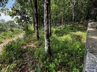 Residential Land for Sale in Pathanamthitta, Adoor, Erathu