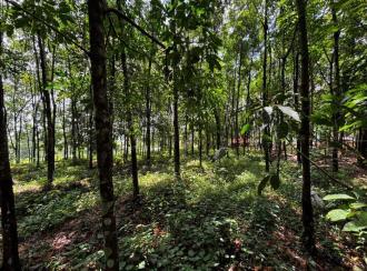 Residential Land for Sale in Pathanamthitta, Adoor, Erathu