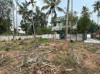 Residential Land for Sale in Thrissur, Thrissur, Kariattukkara