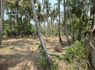 Residential Land for Sale in Thrissur, Thrissur, Kandassankadavu