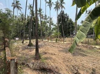 Residential Land for Sale in Thrissur, Thrissur, Kandassankadavu