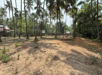 Residential Land for Sale in Thrissur, Thrissur, Kandassankadavu