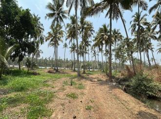 Residential Land for Sale in Thrissur, Thrissur, Kandassankadavu