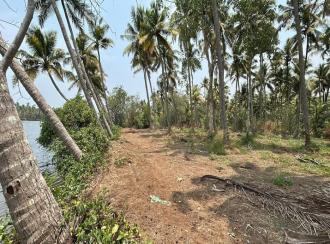 Residential Land for Sale in Thrissur, Thrissur, Kandassankadavu