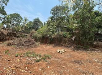 Commercial Land for Sale in Thrissur, Kunnamkulam, Kunnamkulam Town