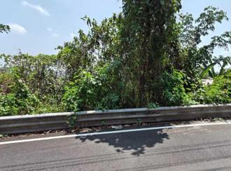 Residential Land for Sale in Pathanamthitta, Pathanamthitta, Makkamkunnu