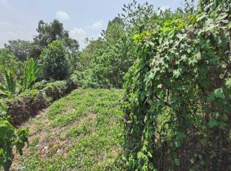 Residential Land for Sale in Pathanamthitta, Pathanamthitta, Makkamkunnu