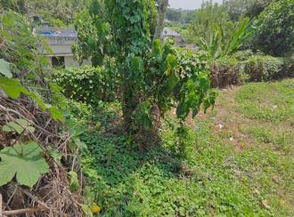 Residential Land for Sale in Pathanamthitta, Pathanamthitta, Makkamkunnu