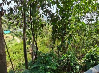 Residential Land for Sale in Pathanamthitta, Pathanamthitta, Makkamkunnu