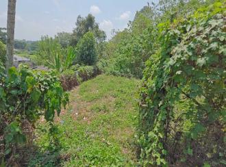 Residential Land for Sale in Pathanamthitta, Pathanamthitta, Makkamkunnu