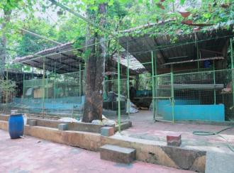 Residential House Villa for Sale in Pathanamthitta, Kozhencherry, Maramon