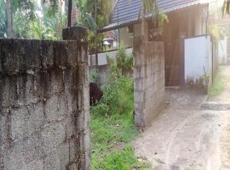 Residential Land for Sale in Ernakulam, Maradu, Nettoor, new NETTOOR bridge and another way from INTUC junction