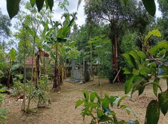 Residential Land for Sale in Ernakulam, Kolenchery, 10th mile, puthencruz, Vadayampady Busstop