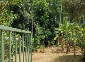 Residential Land for Sale in Ernakulam, Kolenchery, 10th mile, puthencruz, Vadayampady Busstop