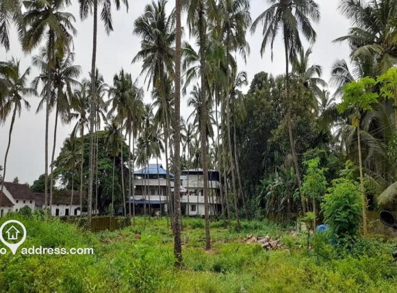 Residential House Villa for Sale