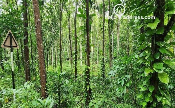 Agricultural Land for Sale