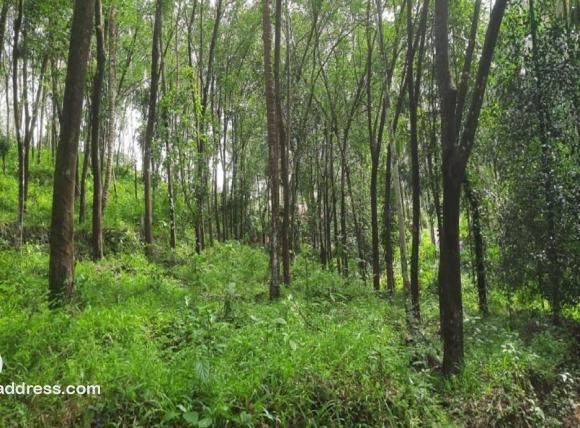 Agricultural Land for Sale