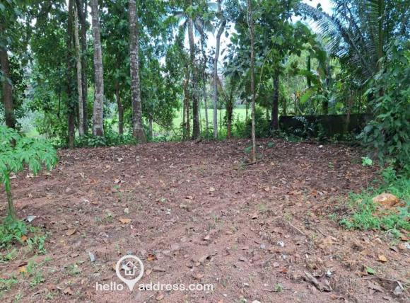 Residential Land for Sale