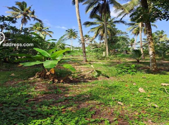 Land View: West to East