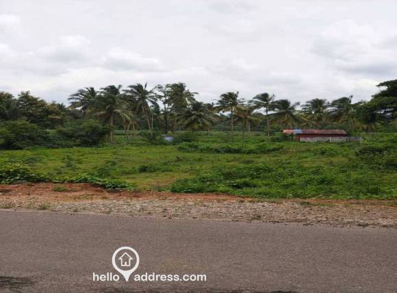 Commercial Land for Sale