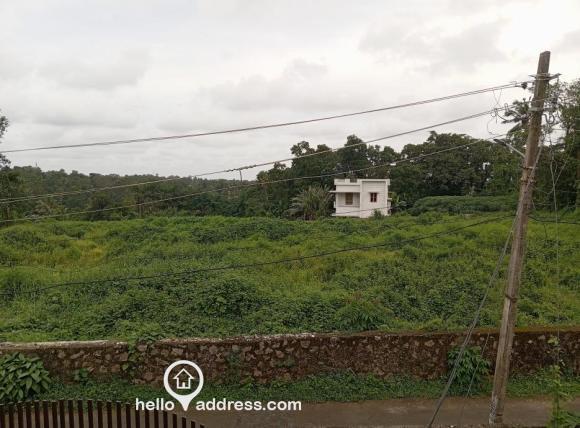 Commercial Land for Rent
