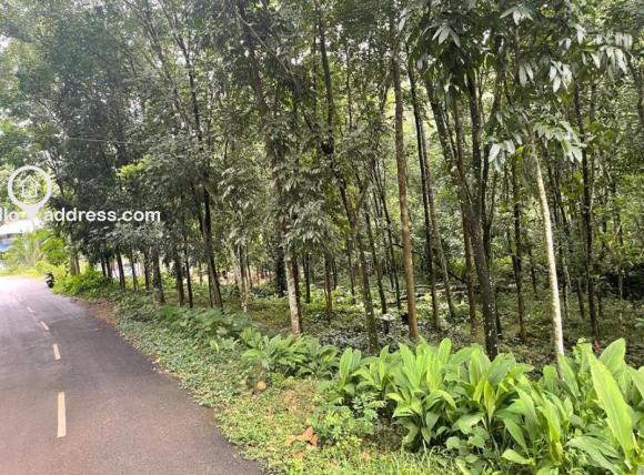 Residential Land for Sale