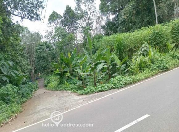 Kanakakkunnu_Road_Frontage
