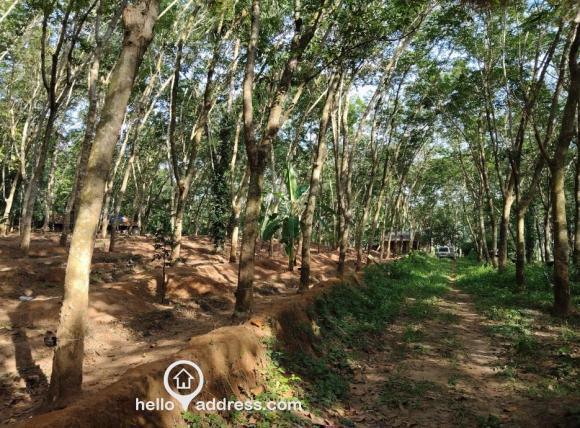 Agricultural Land for Sale