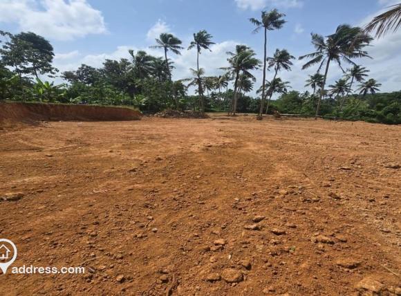 Commercial Land for Sale