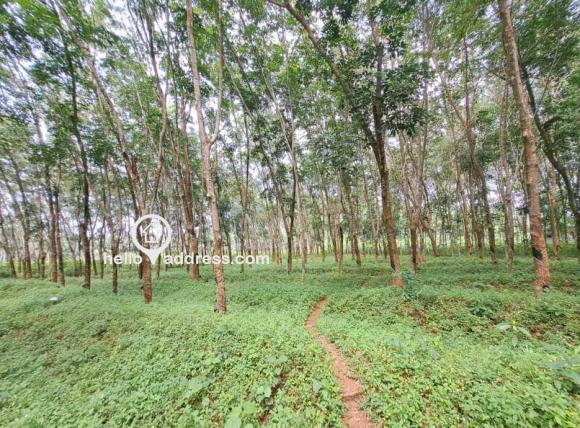 Residential Land for Sale