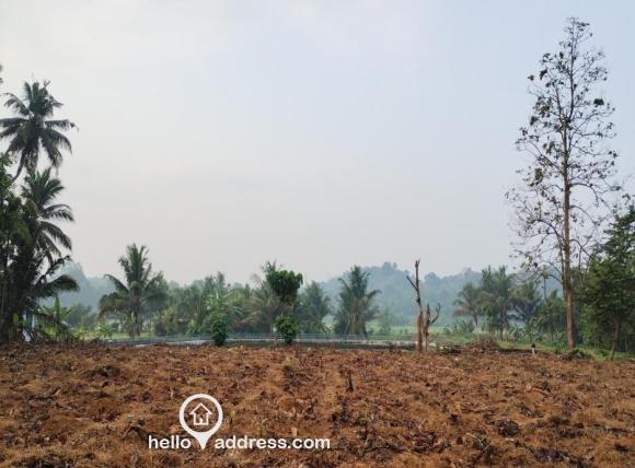 Residential Land for Sale