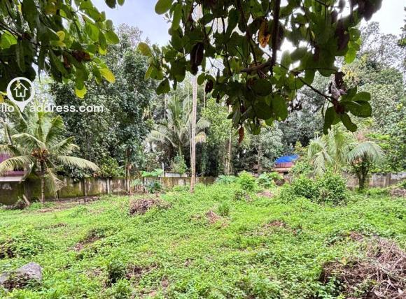 Commercial Land for Sale