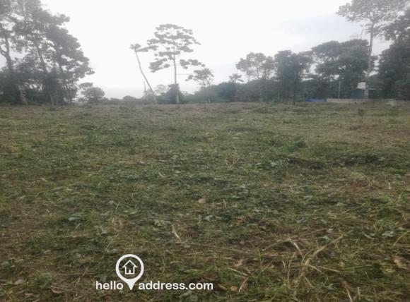 Agricultural Land for Sale