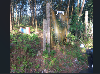 Residential Land for SaleTrivandrum, Thiruvananthapuram, Murukkumpuzha