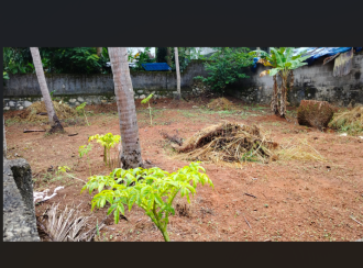 Residential Land for Sale in Trivandrum, Thiruvananthapuram, Kattaikonam
