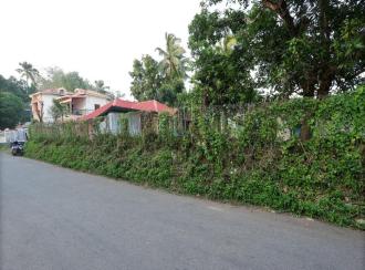 Residential Land for Sale in Kollam, Anchal, Alencherry