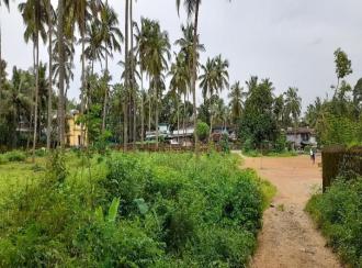 Residential House Villa for Sale in Palakkad, Pattambi, Vallapuzha